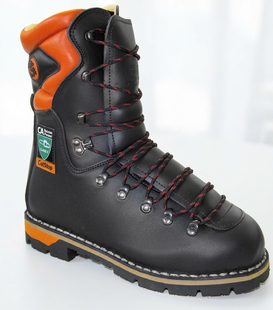 1110 2 Polacco IDEAL FORESTALE AIB